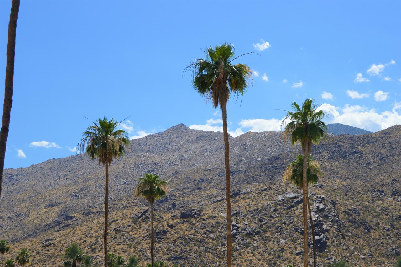 Musicland Hotel Palm Springs Kültér fotó